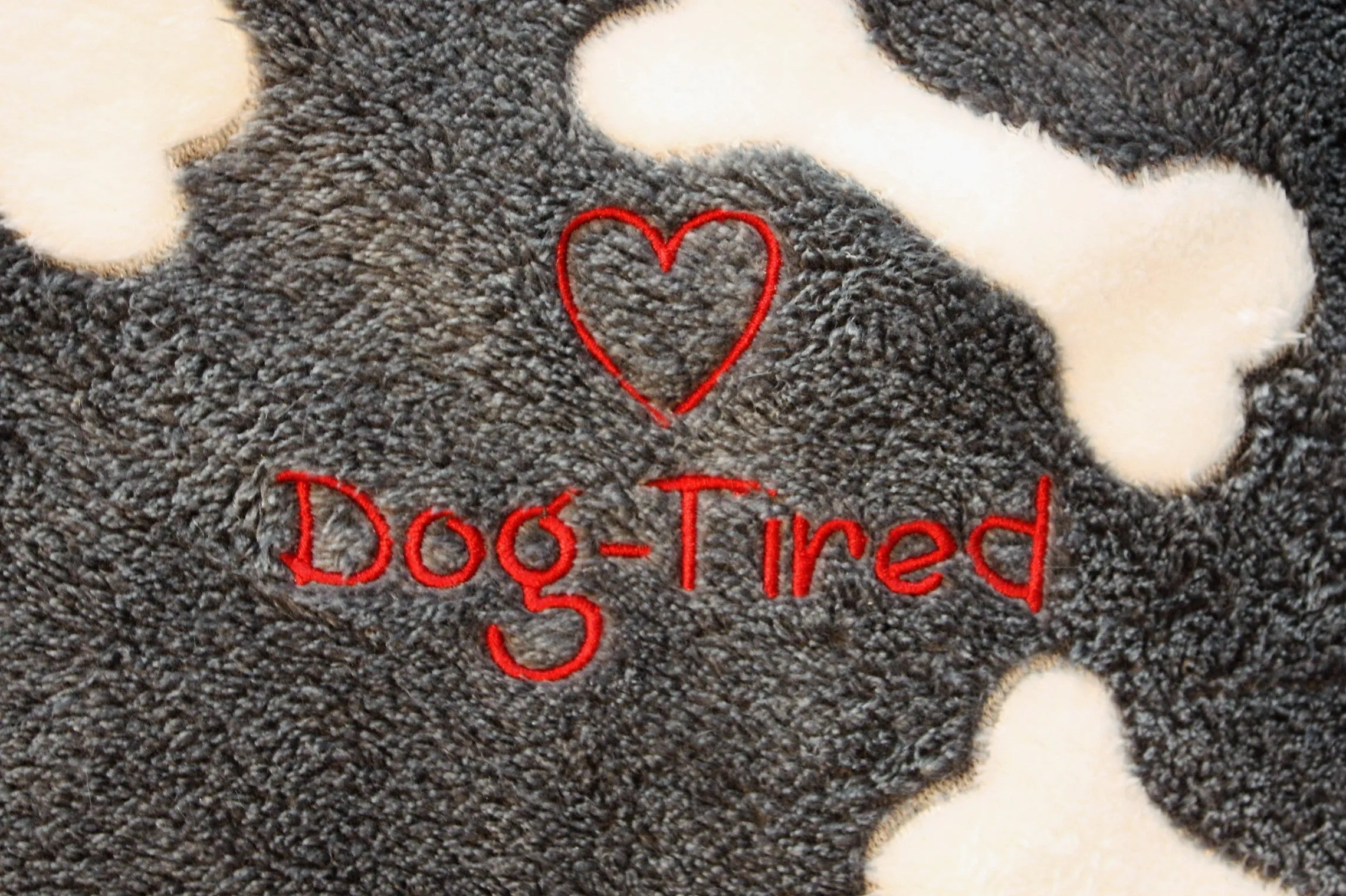 Dog - Tired Blanket