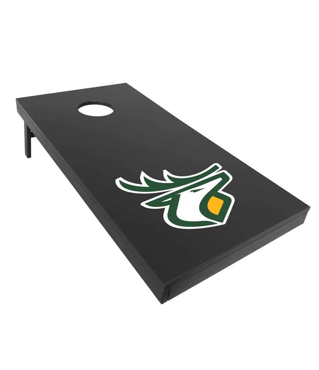 Edmonton Elks Cornhole
