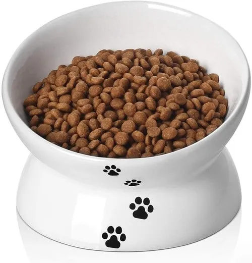 Elevated Cat Feeding Bowl