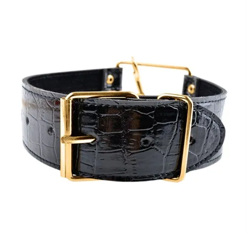 Fetish Fantasy Gold Collar and Leash - Black