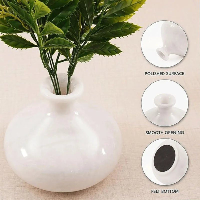 Flower Vase 5' - Ideal for Flowers and Vase Decor