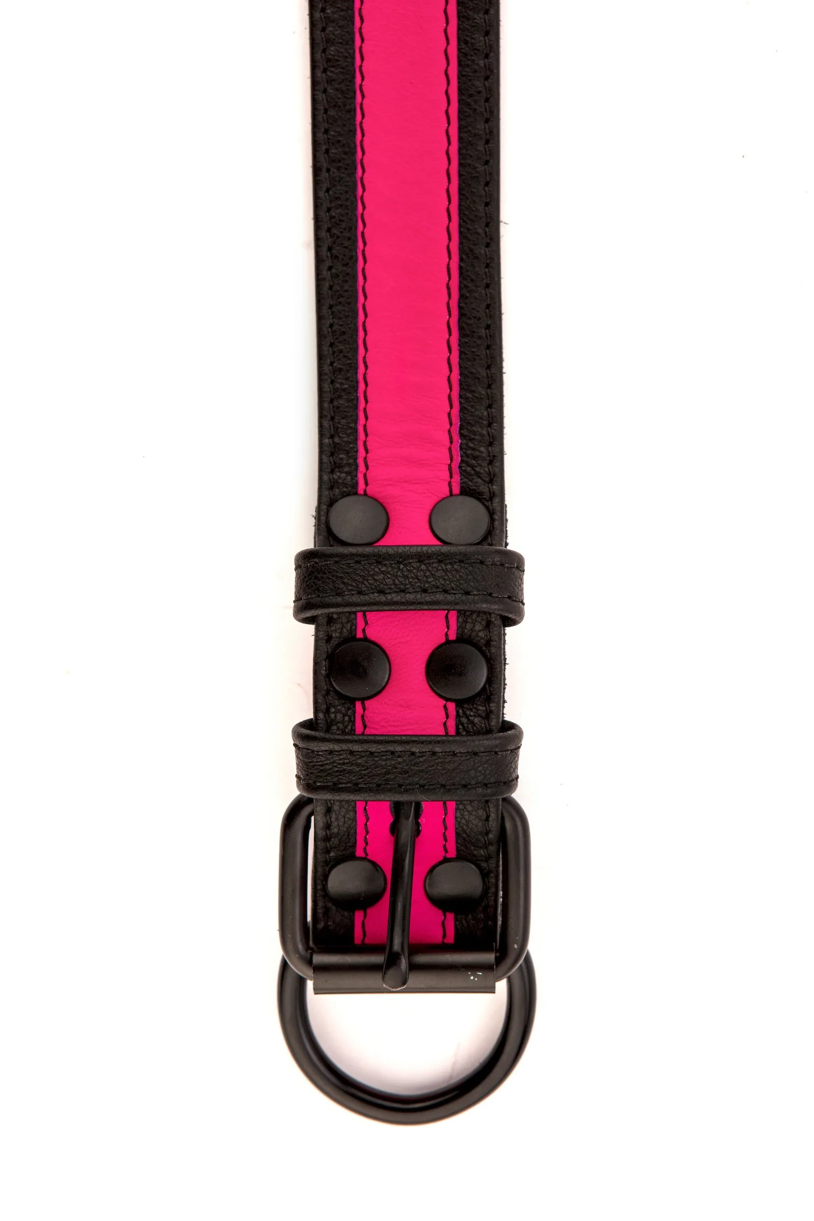 FLURO STRIPE PUP COLLAR