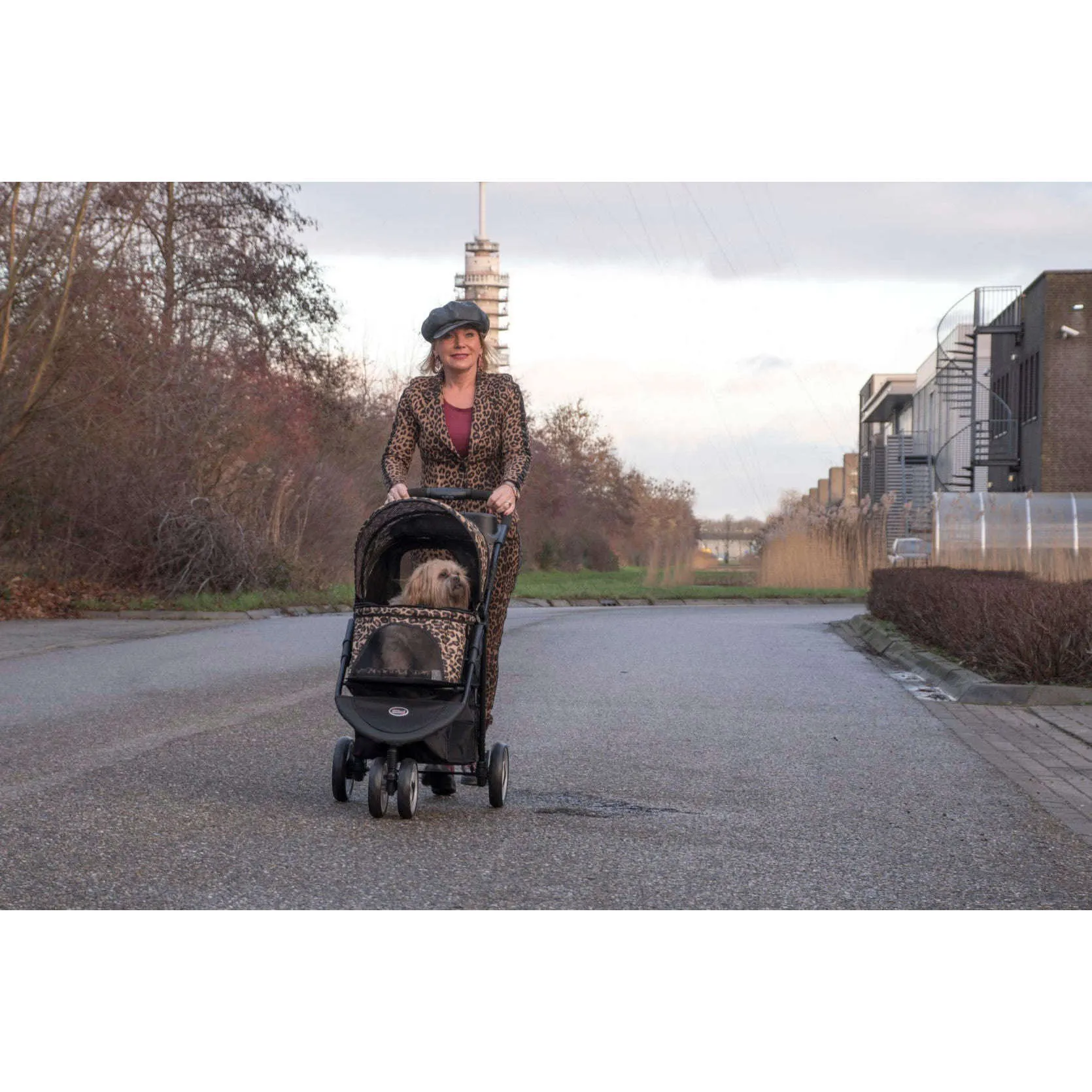 InnoPet Allure Dog Pram