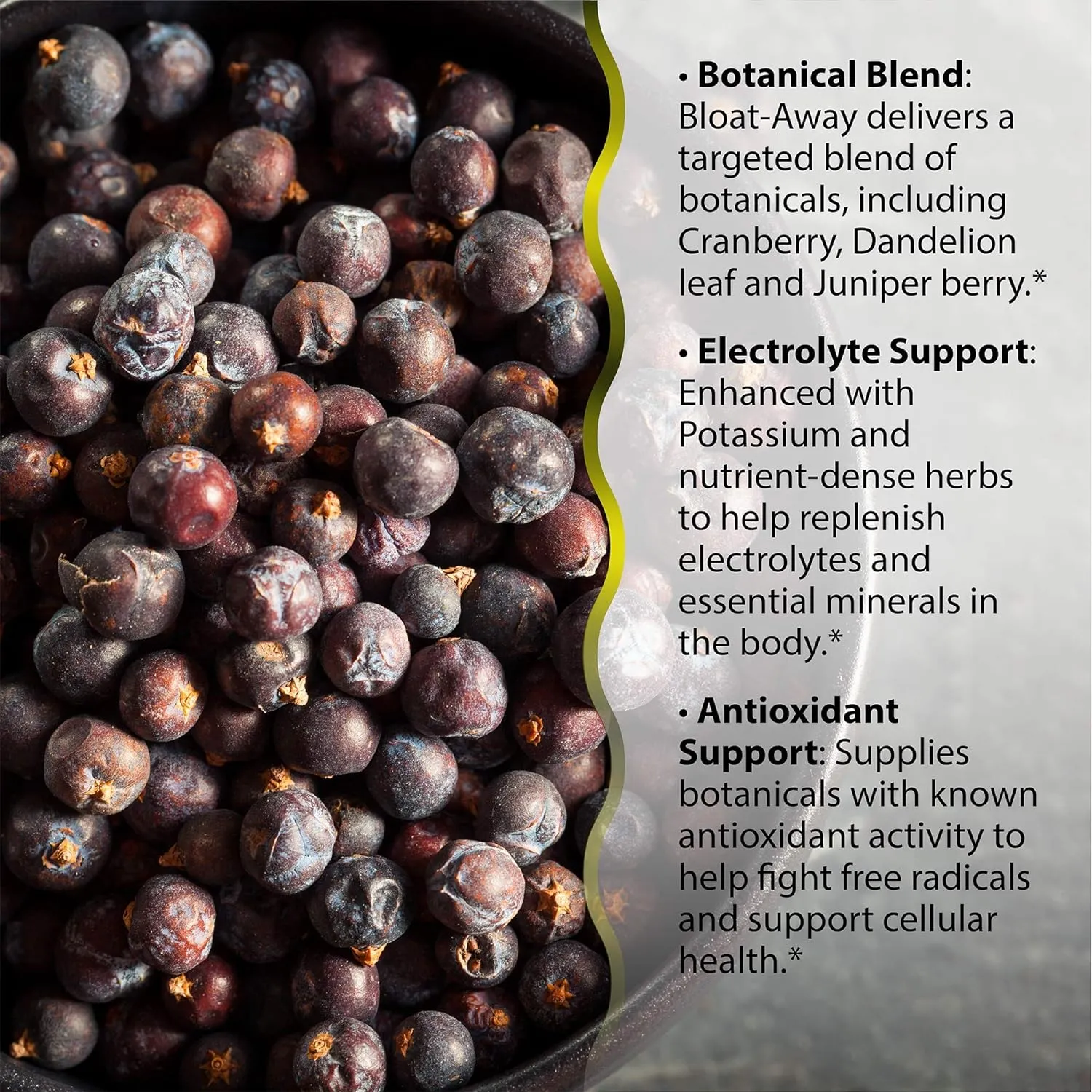Irwin Naturals Bloat-Away - Water Balance Support - Replenish Electrolytes & Essential Minerals - 60 Liquid Soft-Gels