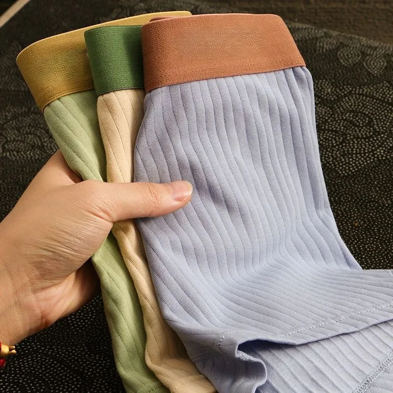Korean Style Striped Underwear (Set of 3)