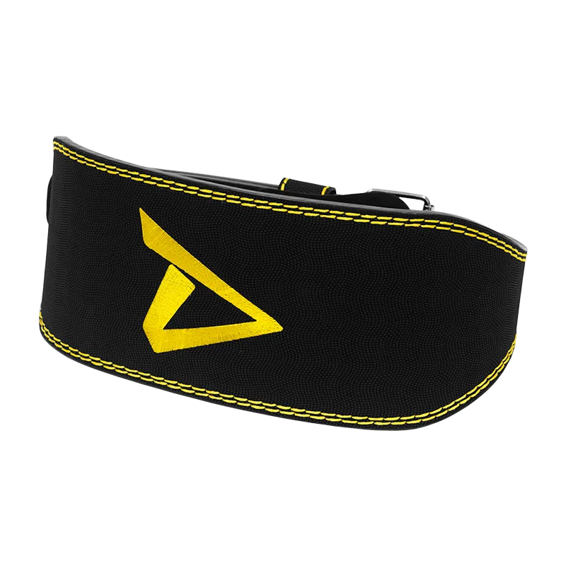 Lifting Belt