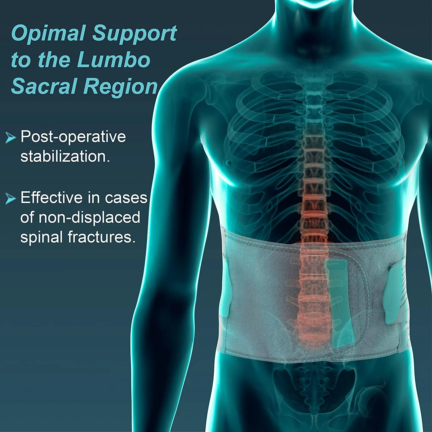 Lumbar Sacral Belt Lumbopore