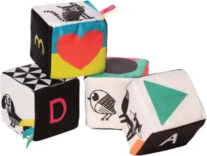 Manhattan Toys Wimmer Ferguson Mind Cubes