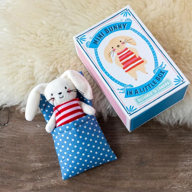 Mini Bunny in a Box
