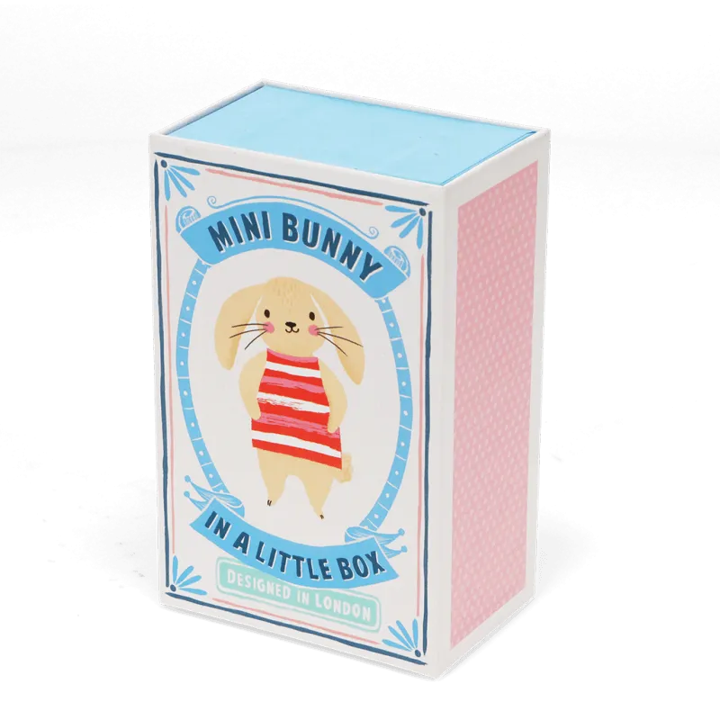 Mini Bunny In A Little Box