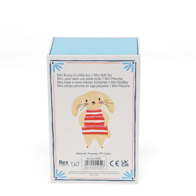 Mini Bunny In A Little Box
