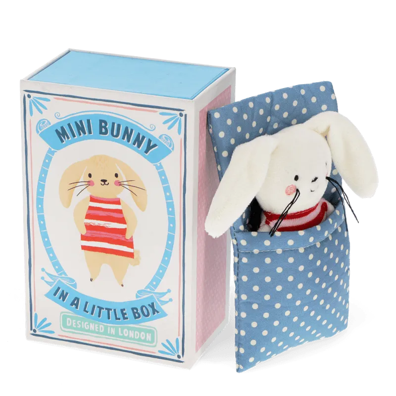 Mini Bunny In A Little Box