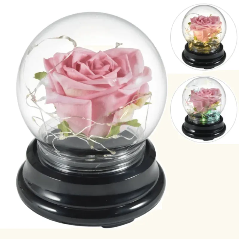 Mini LED Rose Dome