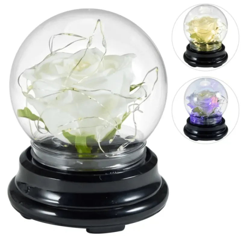 Mini LED Rose Dome