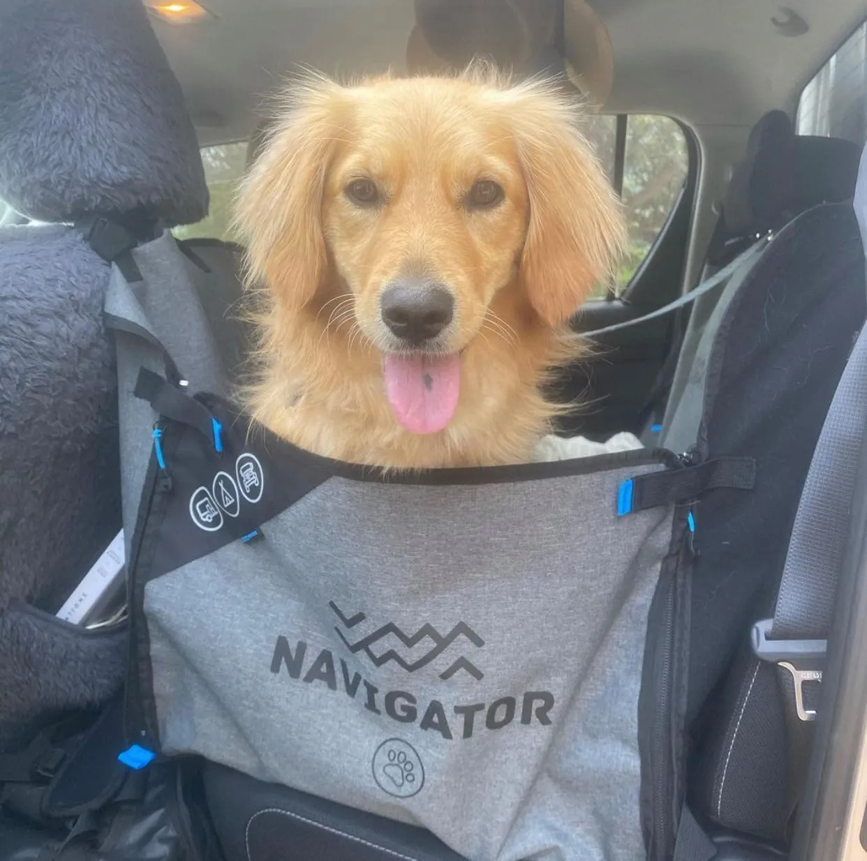 Navigator - Dog Seat Buddy