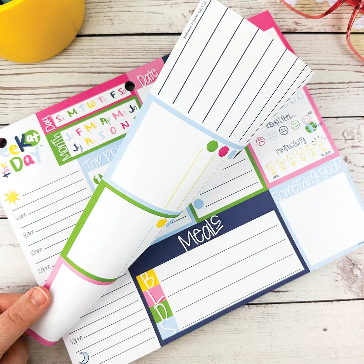 NEW! Peek Your Plan Bundle | Peek at the Day   Mini Peek at the Week®