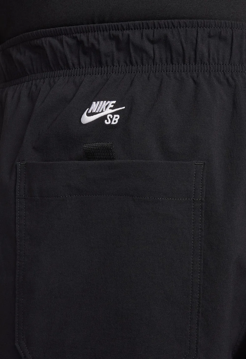 NIKE SB Kearny cargo skate pants