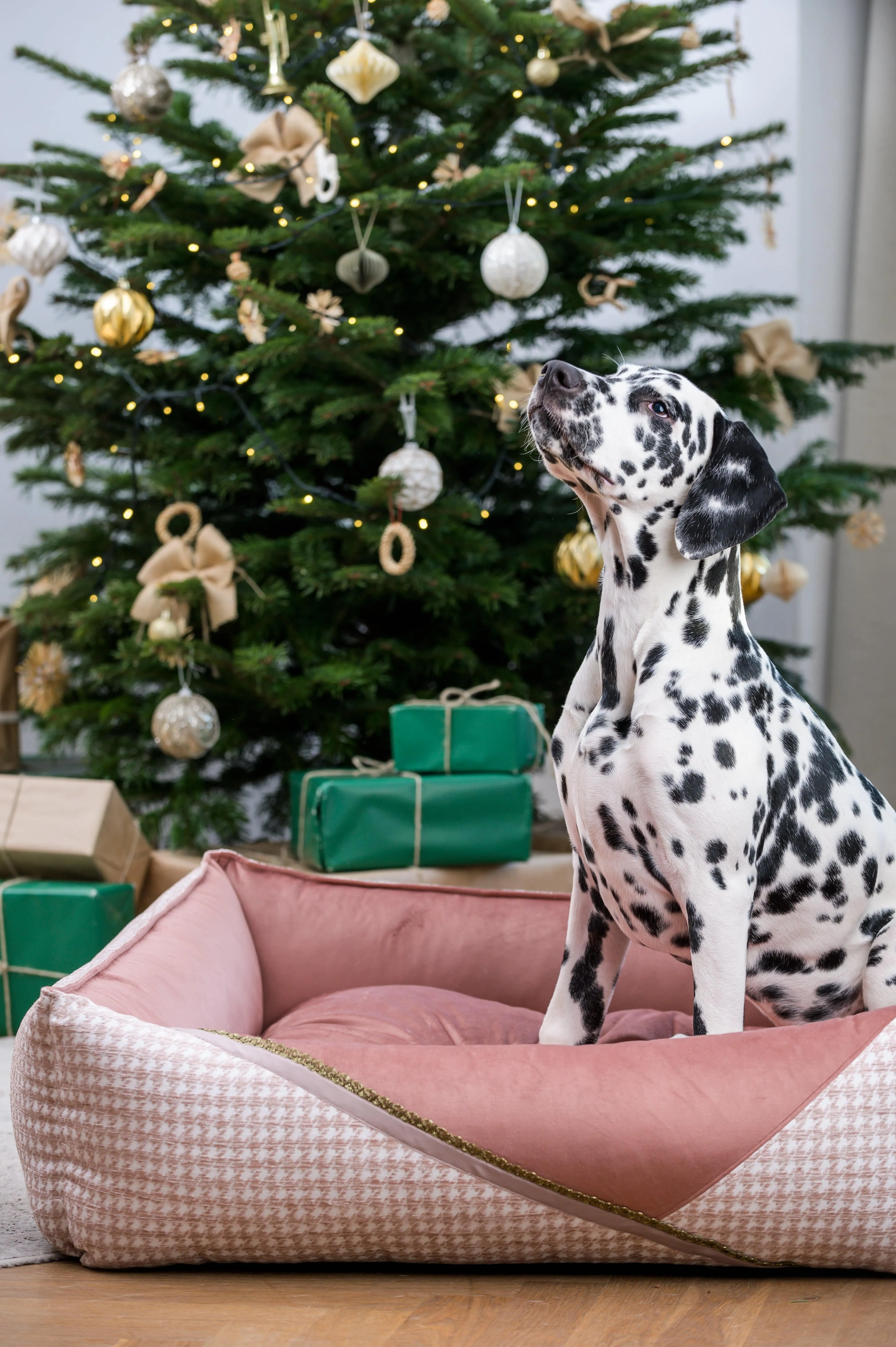 Oh Charlie Square Dog Bed Glamour Deluxe