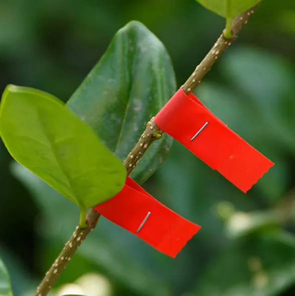 Plant Tying Tape Tool (🎉30% OFF - Early bird price ends in 5 days)