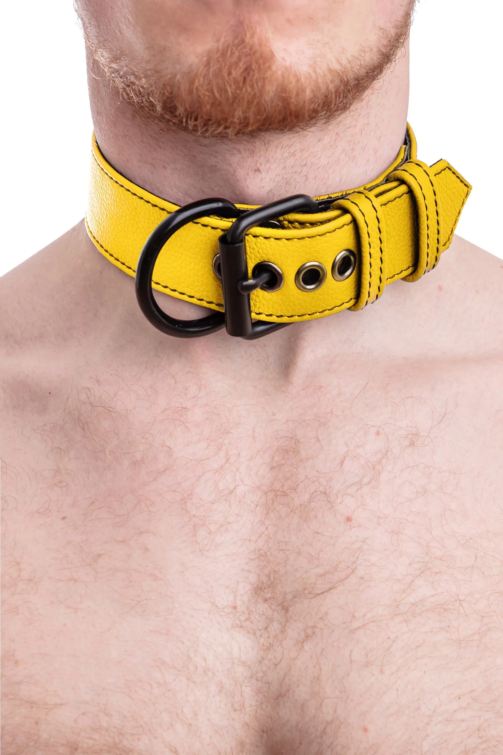 PUP COLLAR - Colour