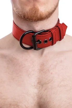 PUP COLLAR - Colour