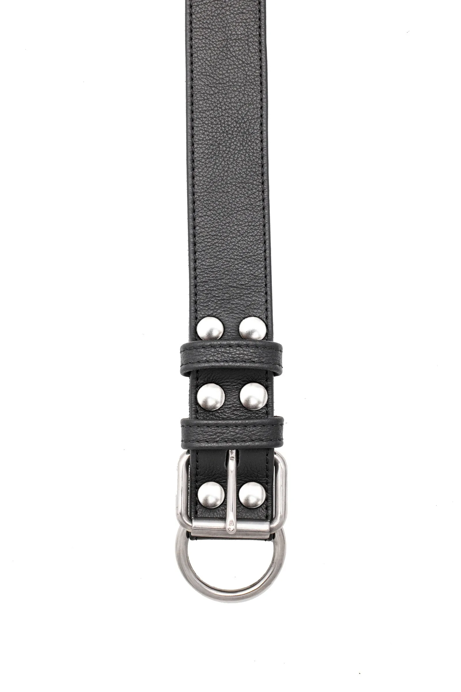 PUP COLLAR - Stainless Steel