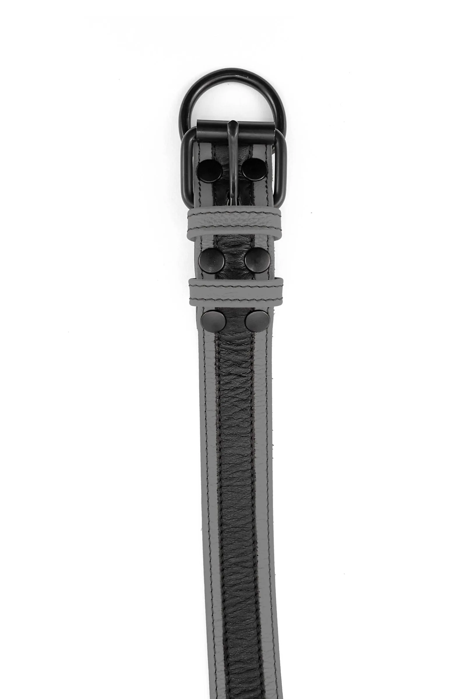 RACER STRIPE PUP COLLAR - Colour