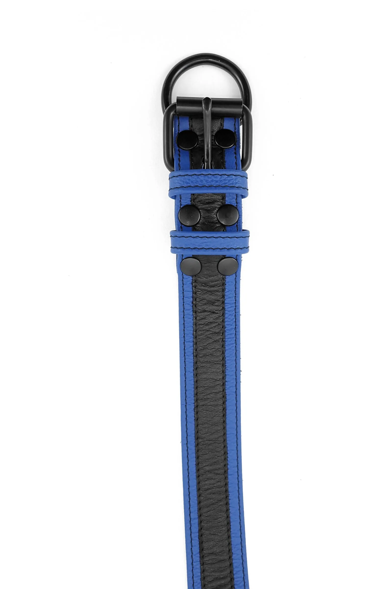 RACER STRIPE PUP COLLAR - Colour