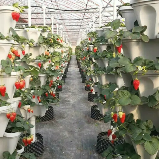 Stackable Gardening Tower(🎊 30% OFF   Free Shipping)