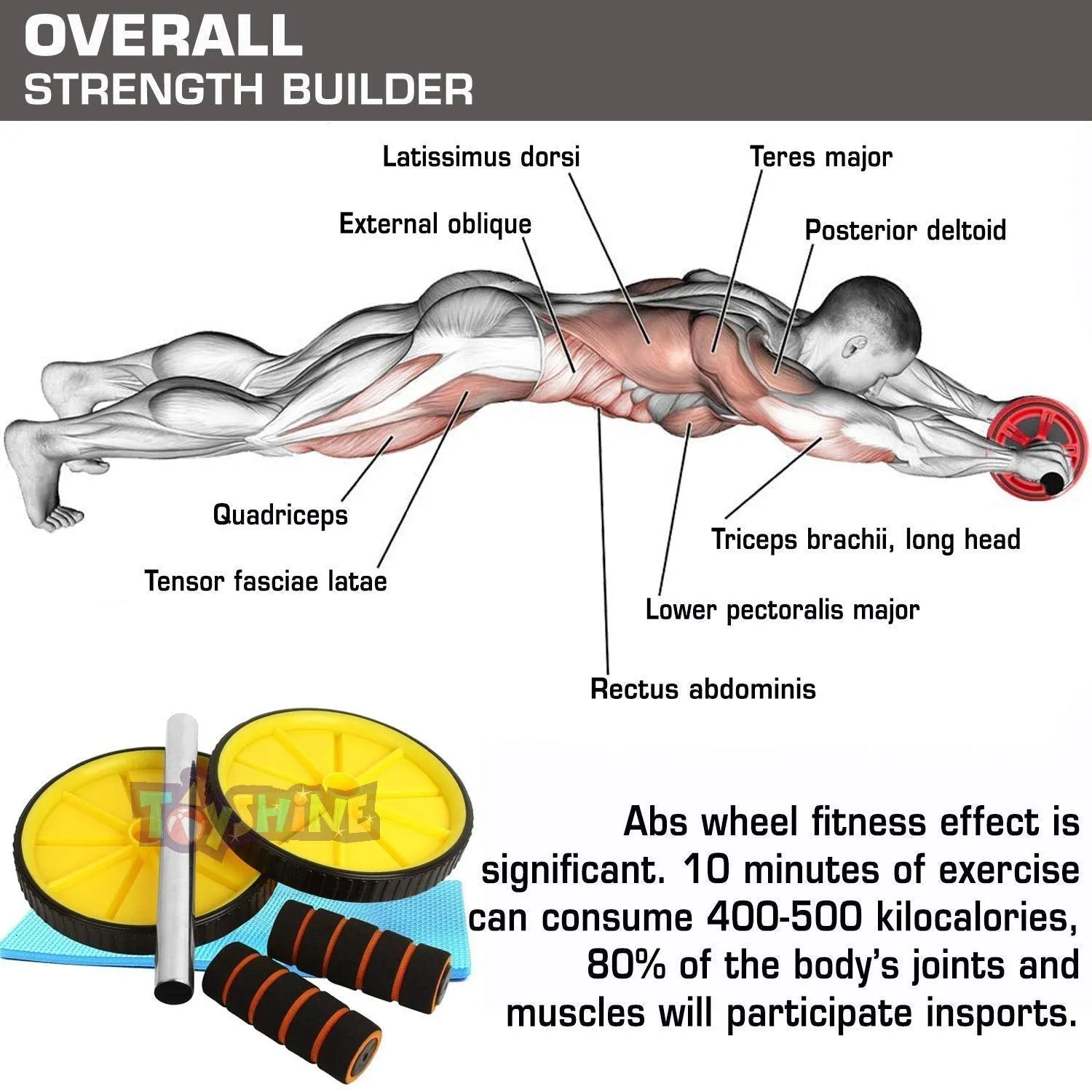 Toyshine Wheel Exerciser for Abs Workout, Abdominal Roller for Home Workout Equipment (SSTP)