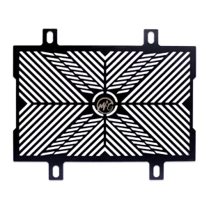 TVS RR 310 Motoaggrandize Radiator guard